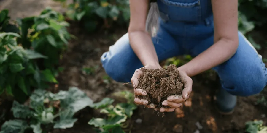 Illustrative image of Organic soil management in Irvine